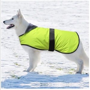 Domi Dog Waterproof Winter Coat Green